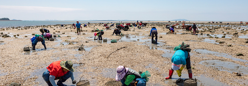 선재도 어촌체험마을